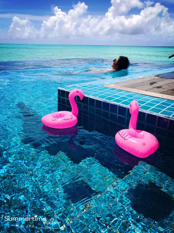 神仙珊瑚岛Island Hideaway